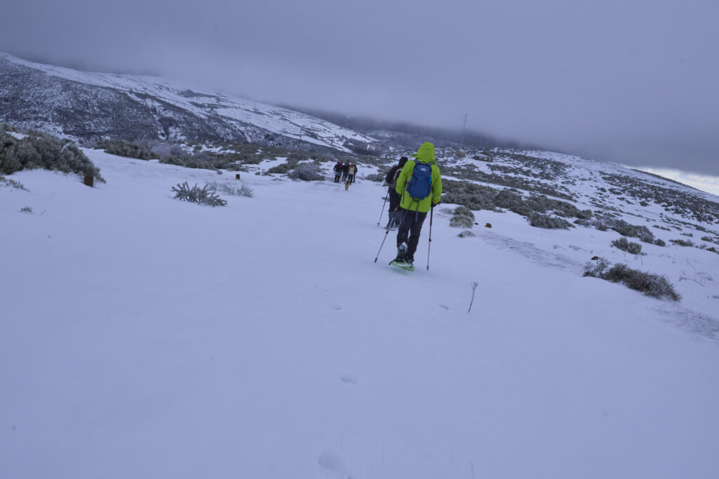 RAQUETAS EN PE&Ntilde;A ZORRILO, CL&Aacute;SICA DEL INVIERNO