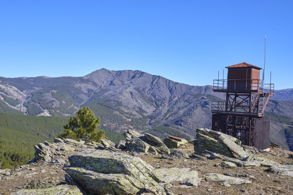 TyBA ATACA DE NUEVO EN LA SIERRA NORTE