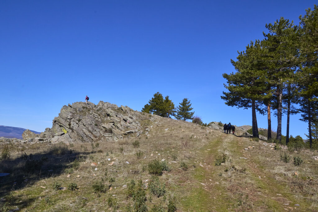 TyBA ATACA DE NUEVO EN LA SIERRA NORTE