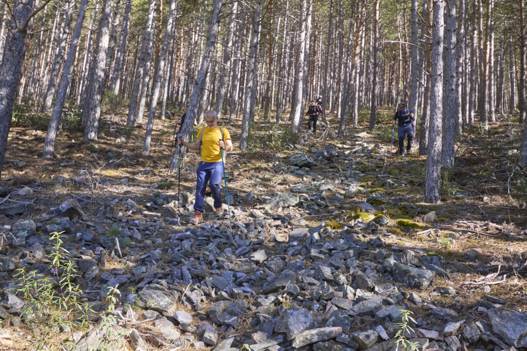 TyBA ATACA DE NUEVO EN LA SIERRA NORTE