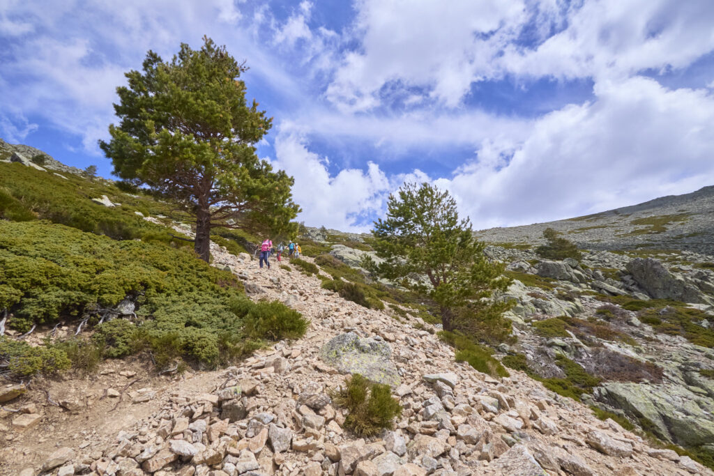 LA MALICIOSA DESDE LA BARRANCA VUELTA POR LOS ALMORCHONES
