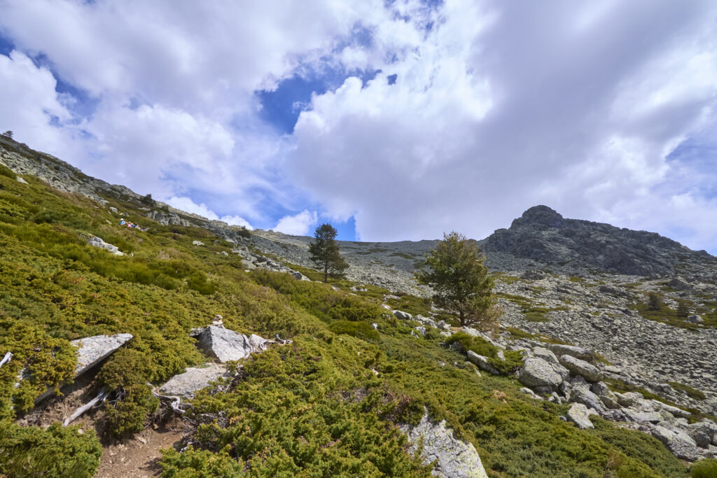LA MALICIOSA DESDE LA BARRANCA VUELTA POR LOS ALMORCHONES