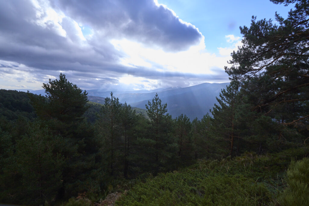 <trp-post-container data-trp-post-id='19153'>VUELTA AL COLE EN PE&Ntilde;ALARA