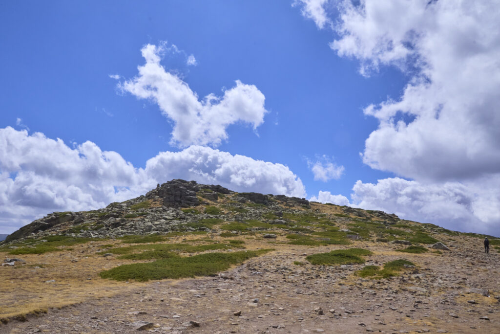 <trp-post-container data-trp-post-id='19153'>VUELTA AL COLE EN PE&Ntilde;ALARA