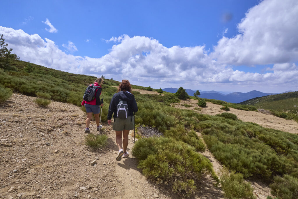 <trp-post-container data-trp-post-id='19153'>VUELTA AL COLE EN PE&Ntilde;ALARA